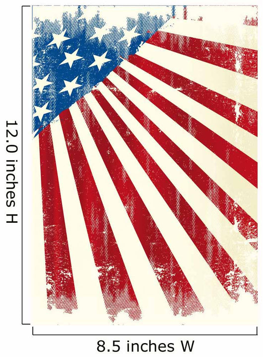 American poster Wall Mural