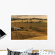 Romagna Al Tramonto Wall Decal