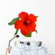 Hibiscus Flower Wall Decal