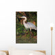 Florida Favorite Wall Mural
