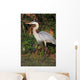 Florida Favorite Wall Mural