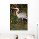 Florida Favorite Wall Mural