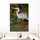 Florida Favorite Wall Mural