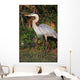Florida Favorite Wall Mural