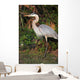 Florida Favorite Wall Mural