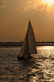 Silhouette of a Sailing Boat at Sunset Wall Mural