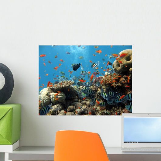Coral Scene Wall Decal Design 2
