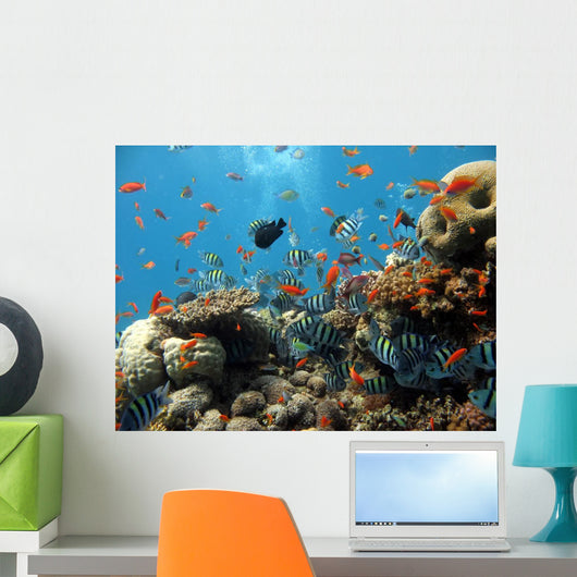 Coral Scene Wall Decal Design 2