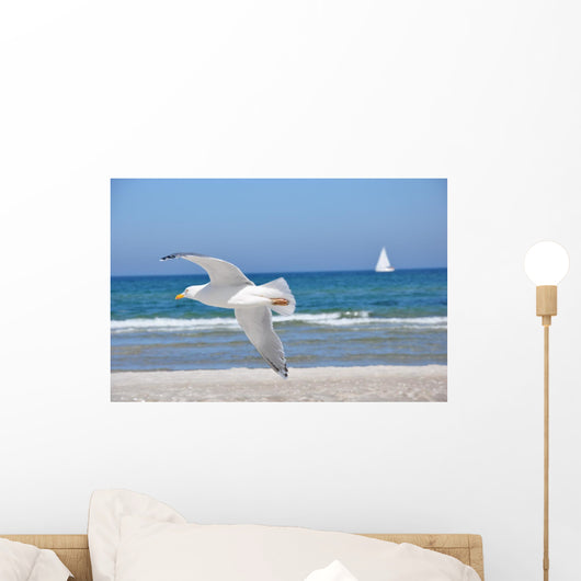Seagull Wall Mural