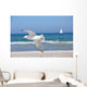 Seagull Wall Mural