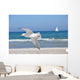 Seagull Wall Mural