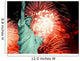 Statue Liberty and Fireworks