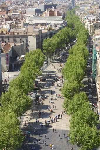 Rambla Wall Decal