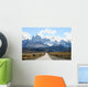 Patagonia - Calafate Wall Mural