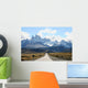 Patagonia - Calafate Wall Mural