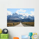 Patagonia - Calafate Wall Mural