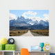 Patagonia - Calafate Wall Mural