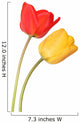 Two Tulips