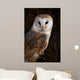 Barn Owl Tree