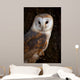 Barn Owl Tree