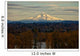 Viw of Mt Hood From Portland Oregon Wall Mural