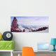 Red Pine Panorama