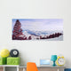 Red Pine Panorama