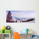 Red Pine Panorama