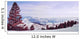 Red Pine Panorama
