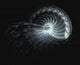 Blue Spiral Ii