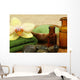 Spa Zen Stones Wall Mural