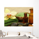 Spa Zen Stones Wall Mural