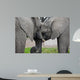 Elephants