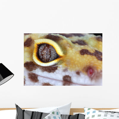 Leopard Gecko Eye Wall Mural shown on a wall