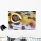 Leopard Gecko Eye Wall Mural