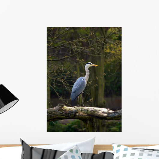 Heron Wall Mural
