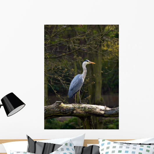Heron Wall Mural
