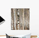 Birch trees in spring Wall Mural