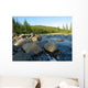 Mountain River Wall Decal