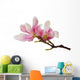 Magnolia Flowers