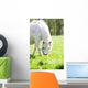 Cheval Et Poney Wall Mural