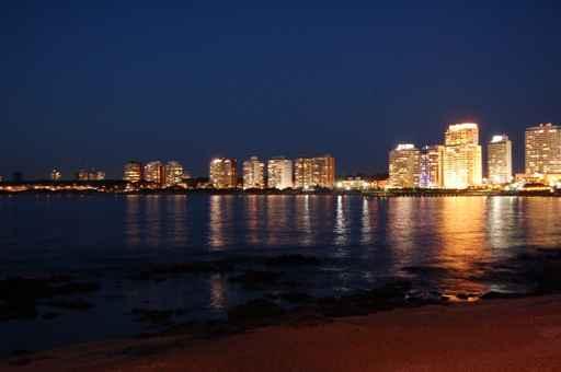 Punta Wall Decal