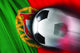 Portuguese Soccer Wall Mural