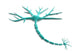 Neuron Wall Decal