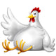 chicken Wall Decal