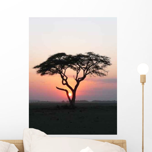 Coucher Soleil Arbre Afrique Wall Decal