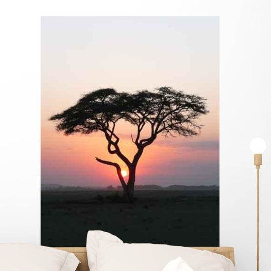 Coucher Soleil Arbre Afrique Wall Decal