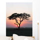 Coucher Soleil Arbre Afrique Wall Decal