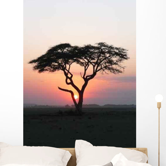 Coucher Soleil Arbre Afrique Wall Decal