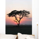 Coucher Soleil Arbre Afrique Wall Decal